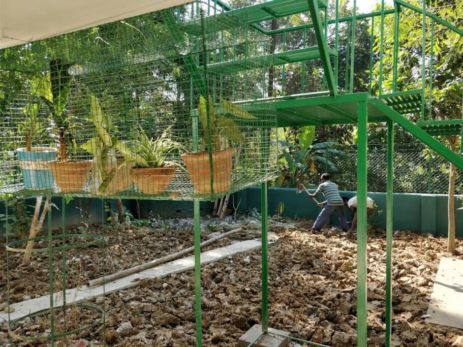 Bhitey Homestay Simantapally / Shantiniketan Exteriér fotografie